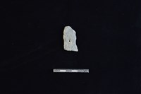 藏品(陶片)的圖片