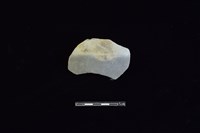 藏品(陶片)的圖片