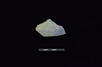 藏品(陶片)的圖片