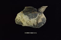 藏品(陶罐)的圖片