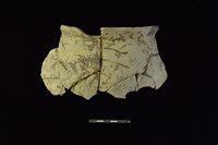 藏品(陶罐)的圖片