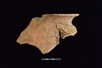 藏品(陶罐)的圖片