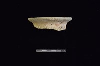 藏品(陶罐)的圖片