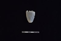 藏品(矛鏃形器)的圖片