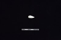 藏品(石材)的圖片