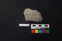 藏品(陶片)的圖片