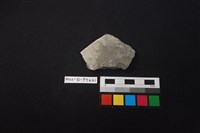 藏品(陶片)的圖片