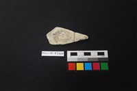 藏品(陶片)的圖片