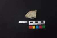 藏品(陶片)的圖片