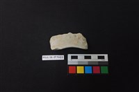 藏品(陶片)的圖片