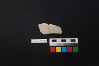 藏品(陶片)的圖片