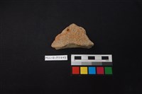 藏品(陶片)的圖片