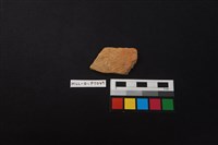 藏品(陶片)的圖片