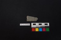 藏品(陶片)的圖片