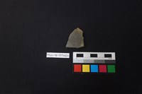 藏品(陶片)的圖片