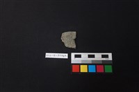 藏品(陶片)的圖片