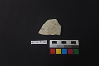 藏品(陶片)的圖片