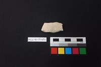 藏品(陶片)的圖片