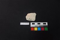 藏品(陶片)的圖片