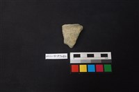 藏品(陶片)的圖片