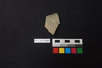 藏品(陶片)的圖片