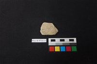 藏品(陶片)的圖片