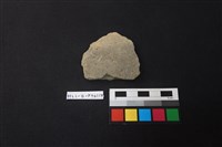 藏品(陶片)的圖片