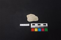 藏品(陶片)的圖片