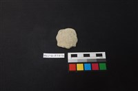 藏品(陶片)的圖片