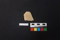 藏品(陶片)的圖片