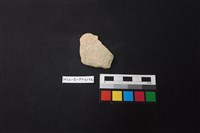 藏品(陶片)的圖片