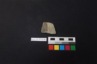 藏品(陶片)的圖片