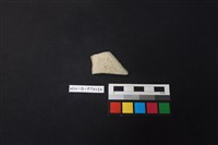 藏品(陶片)的圖片