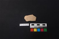 藏品(陶片)的圖片