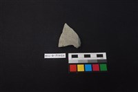 藏品(陶片)的圖片