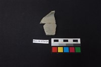 藏品(陶片)的圖片