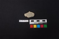 藏品(陶片)的圖片