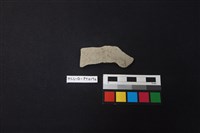 藏品(陶片)的圖片