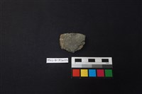 藏品(陶片)的圖片