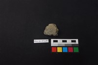 藏品(陶片)的圖片