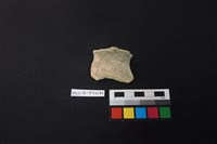 藏品(陶片)的圖片