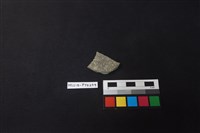 藏品(陶片)的圖片