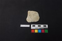 藏品(陶片)的圖片