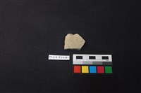 藏品(陶片)的圖片