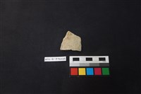 藏品(陶片)的圖片