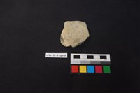 藏品(陶片)的圖片