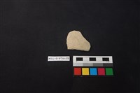 藏品(陶片)的圖片