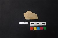 藏品(陶片)的圖片