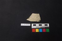 藏品(陶片)的圖片