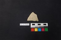 藏品(陶片)的圖片